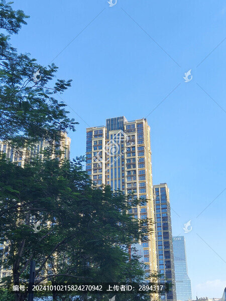 城市綠化