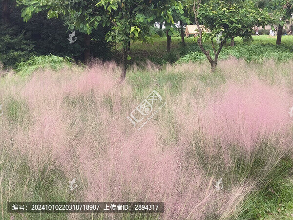 石巖濕地公園