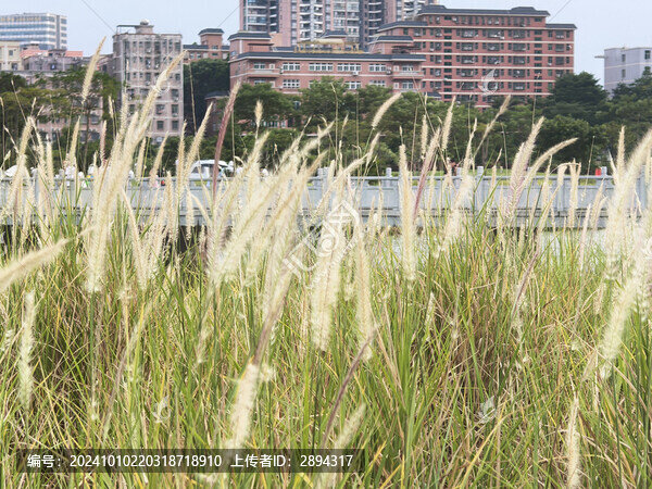 石巖濕地公園