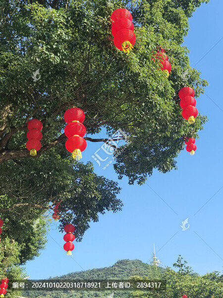 深圳鳳凰山