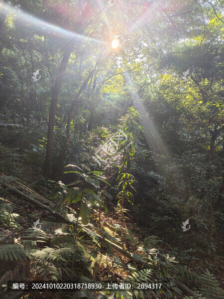 深圳鳳凰山