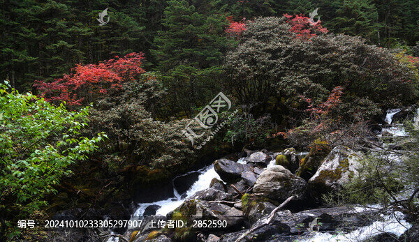 山谷里的溪水