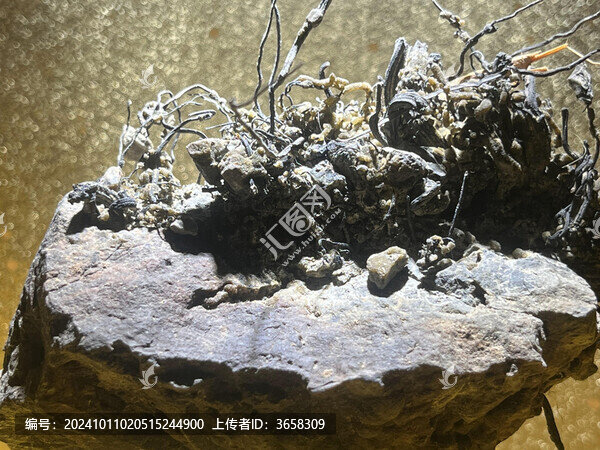 地質(zhì)博物館館藏地質(zhì)礦石展覽