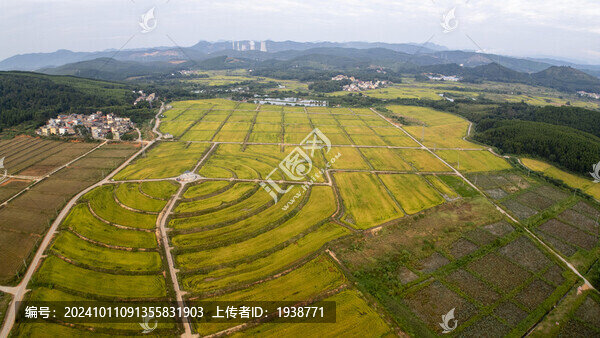 韶關(guān)湞江區(qū)犁市鎮(zhèn)茶山田風光