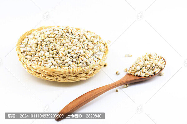 白底棚拍的薏米仁