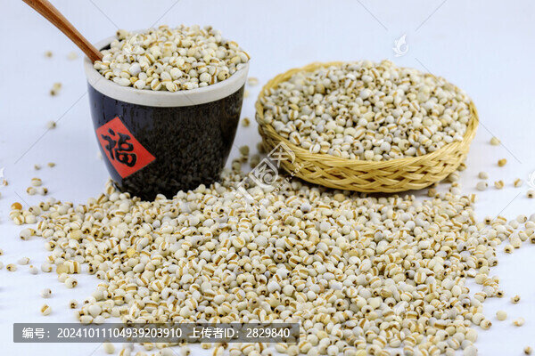 棚拍薏米仁