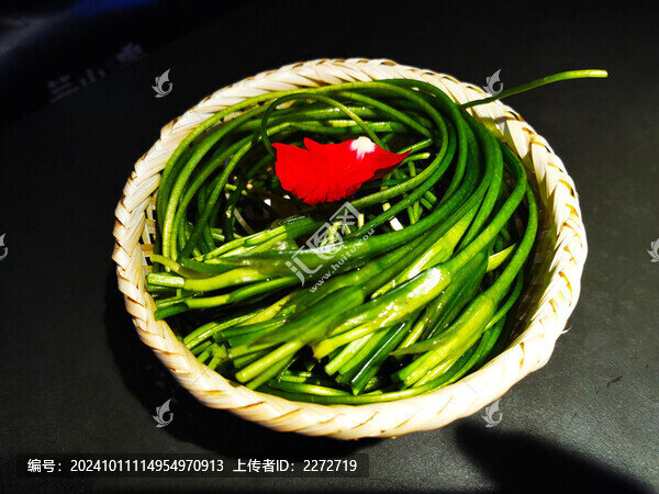 水性楊花