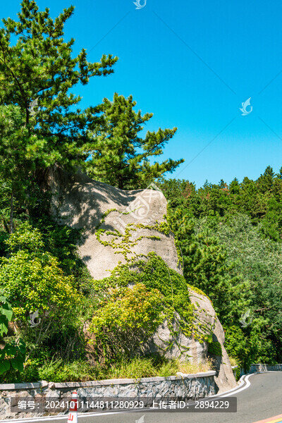 巖石造景