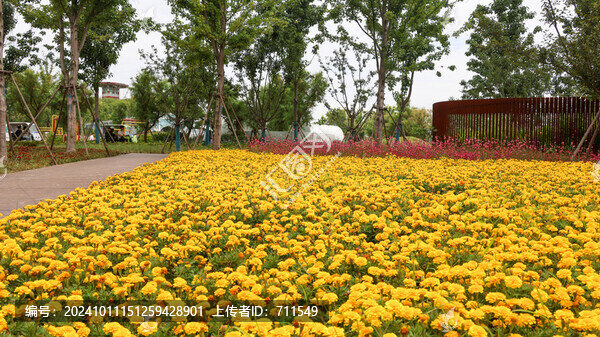 合肥花博園
