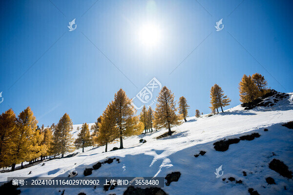 東天山之巔
