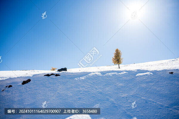 東天山之巔