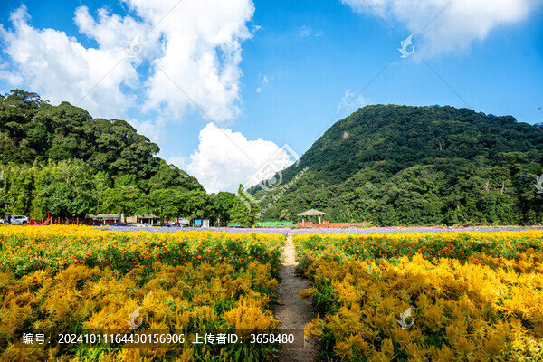 從化石門森林公園