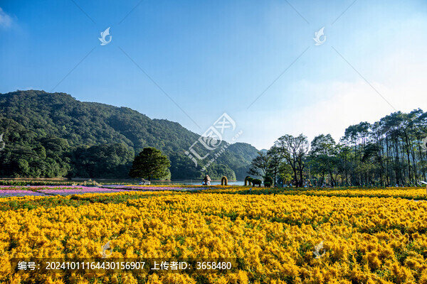 從化石門森林公園
