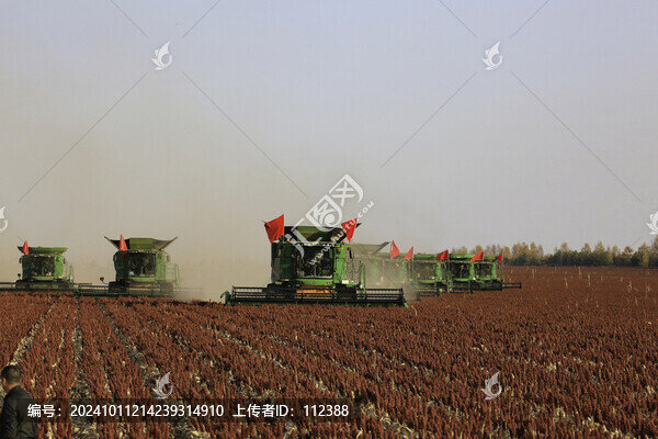 秋收紅高糧顆粒歸倉收割機大糧倉