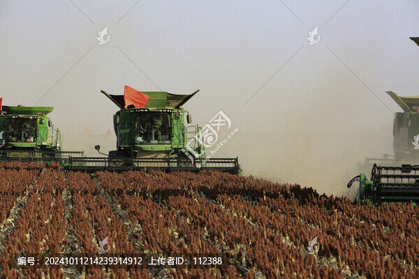 秋收紅高糧顆粒歸倉(cāng)收割機(jī)大糧倉(cāng)