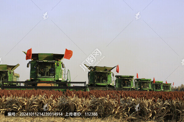 秋收紅高糧顆粒歸倉(cāng)收割機(jī)大糧倉(cāng)