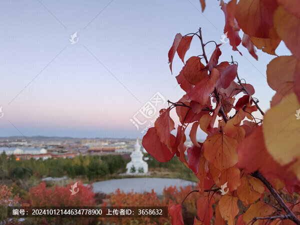 秋日紅葉