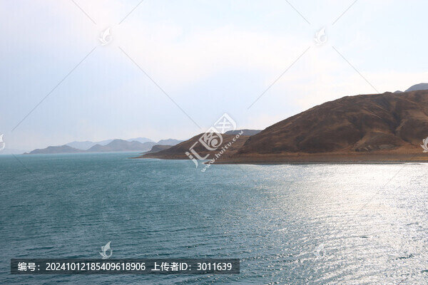 楊卓雍錯