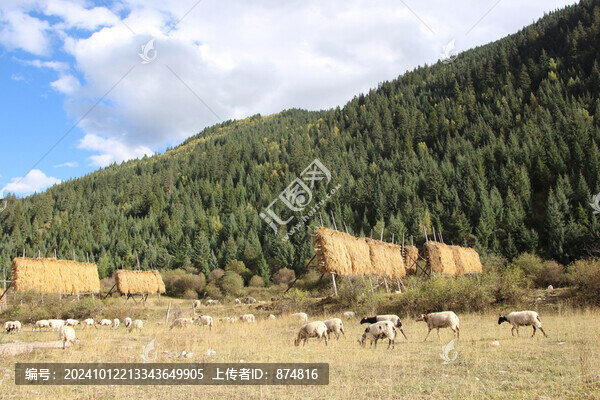 甘南草原牧場