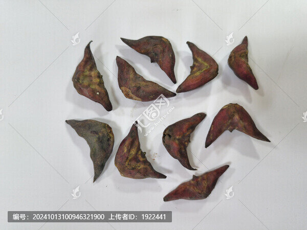 菱角