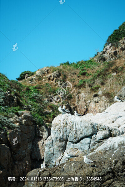 霞浦西礵島