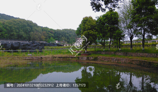 武漢植物園
