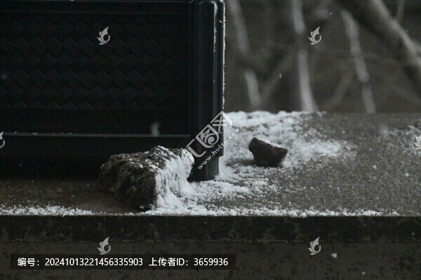 雪