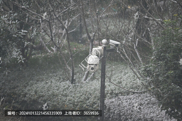 雪景