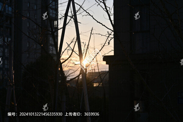 光