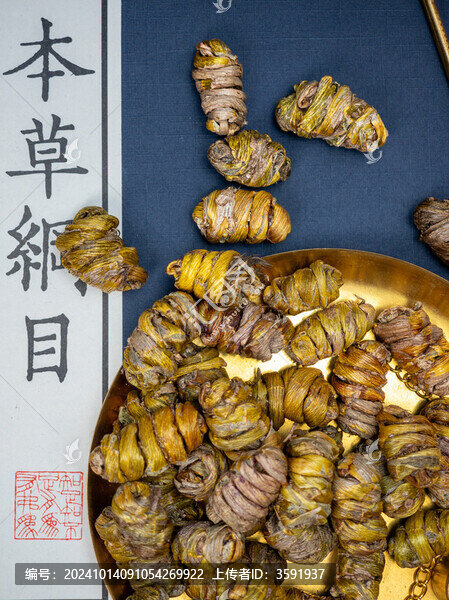 珍貴藥材鐵皮石斛