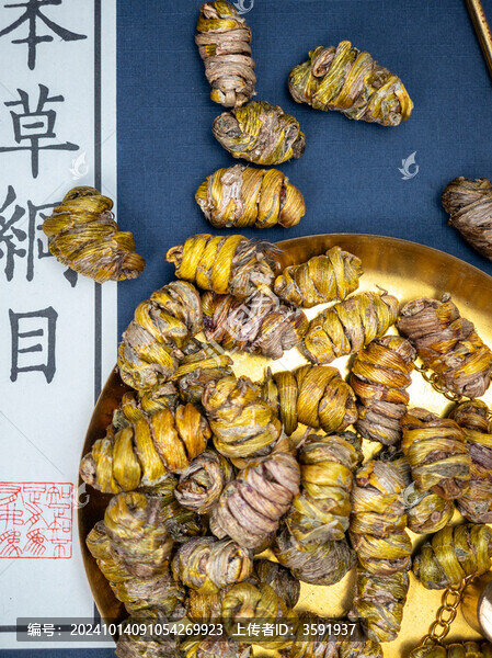 珍貴藥材鐵皮石斛