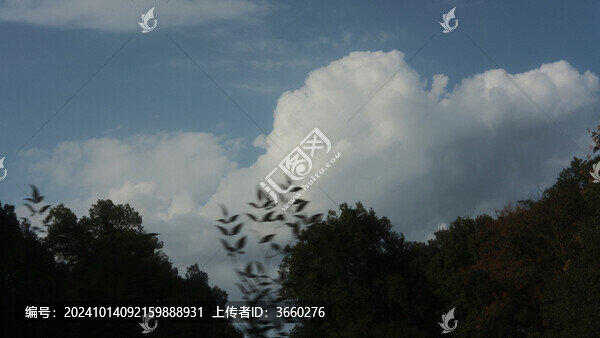 天空云朵襯托著風(fēng)景的樹木