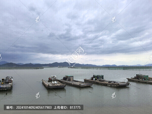 海島養(yǎng)殖