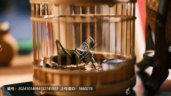 籠子里的蟈蟈