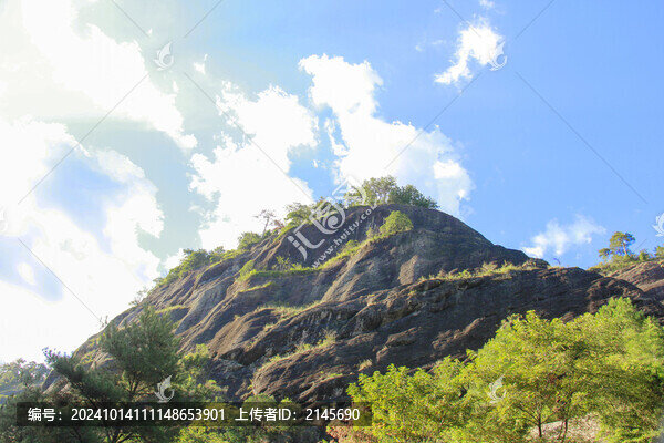 武夷山大紅袍