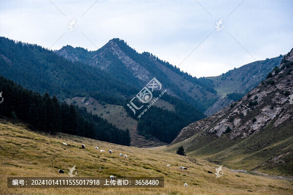 武威天祝冰溝河生態(tài)文化旅游景區(qū)