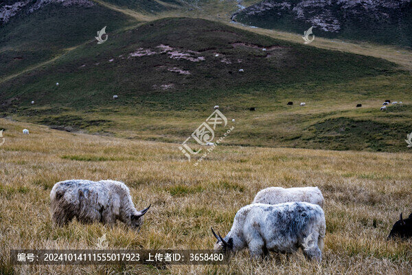 武威天祝冰溝河生態(tài)文化旅游景區(qū)