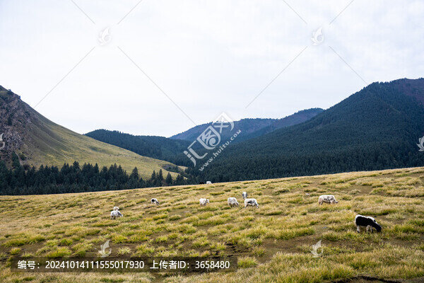 武威天祝冰溝河生態(tài)文化旅游景區(qū)