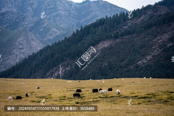 武威天祝冰溝河生態(tài)文化旅游景區(qū)