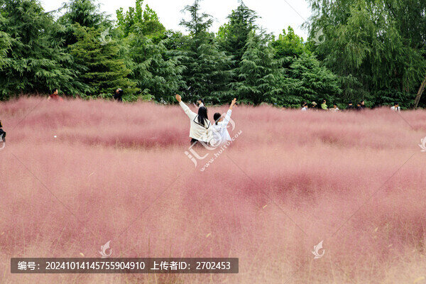 粉黛子