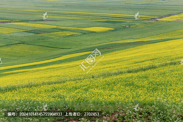 田園美景