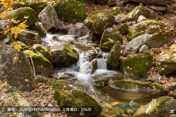 大冰溝小溪