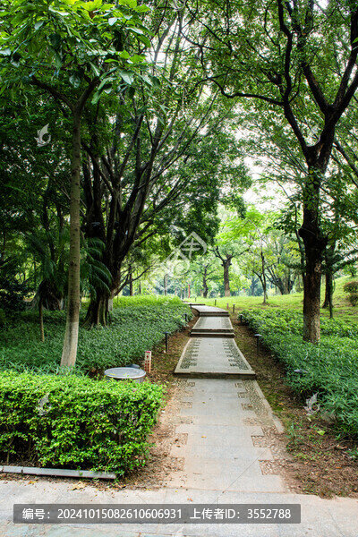公園小路