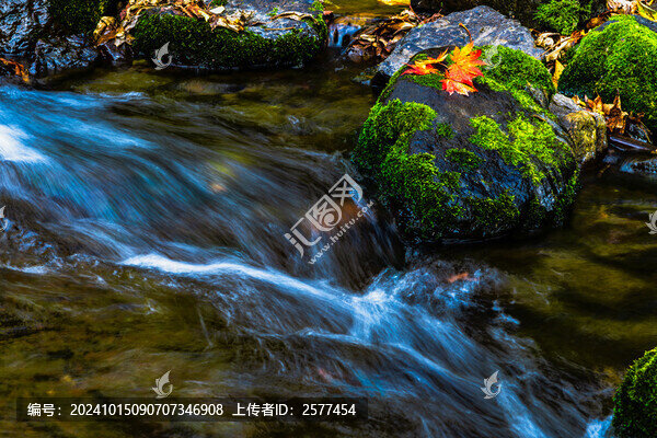 本溪關(guān)門山紅葉