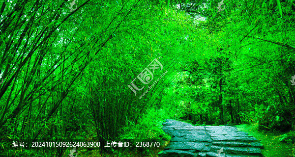 竹林