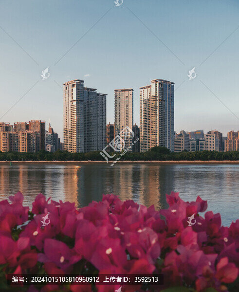 花與建筑