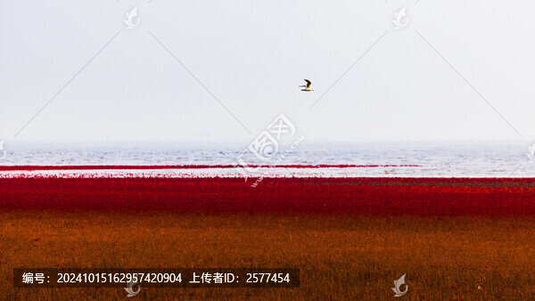 盤錦紅海灘