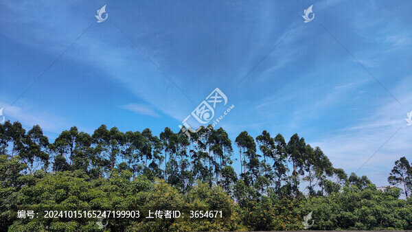 蒼穹美之云朵的靈動(dòng)姿態(tài)