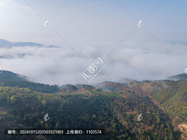 航拍山東沂蒙山區(qū)的云海