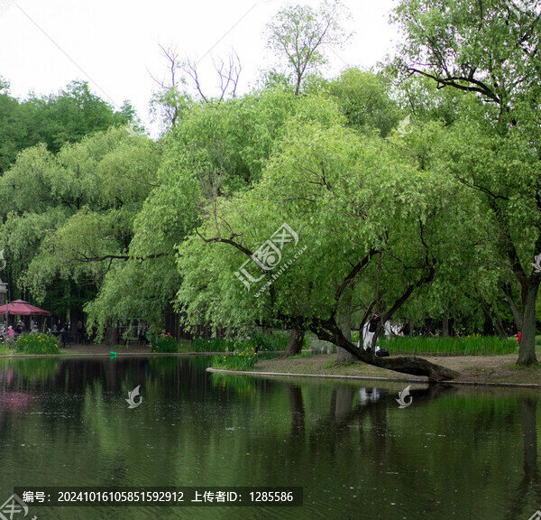 共青森林公園